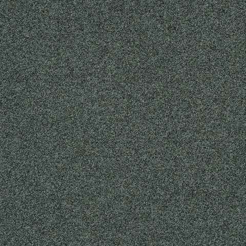 Polichrome Stipple 4265003 Caviar